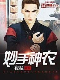 妙手神农秦岚免费阅读