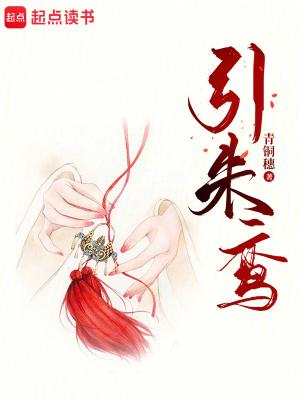 引朱鸾 青铜穗无防盗