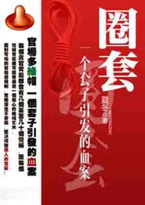 圈套一个套子引发的血案评价