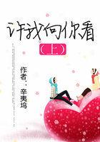 许我向你看(上册) 辛夷坞结局