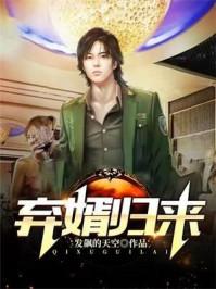 一世豪婿完结篇