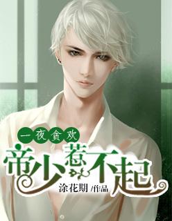 一夜强宠帝少请节制一点