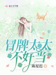 冒牌太太不好当