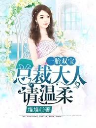 一胎双宝：总裁大人请温柔